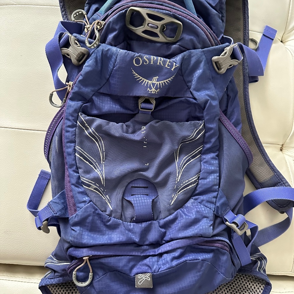 Osprey Raven 14 L Royal Purple. Pre-owned.